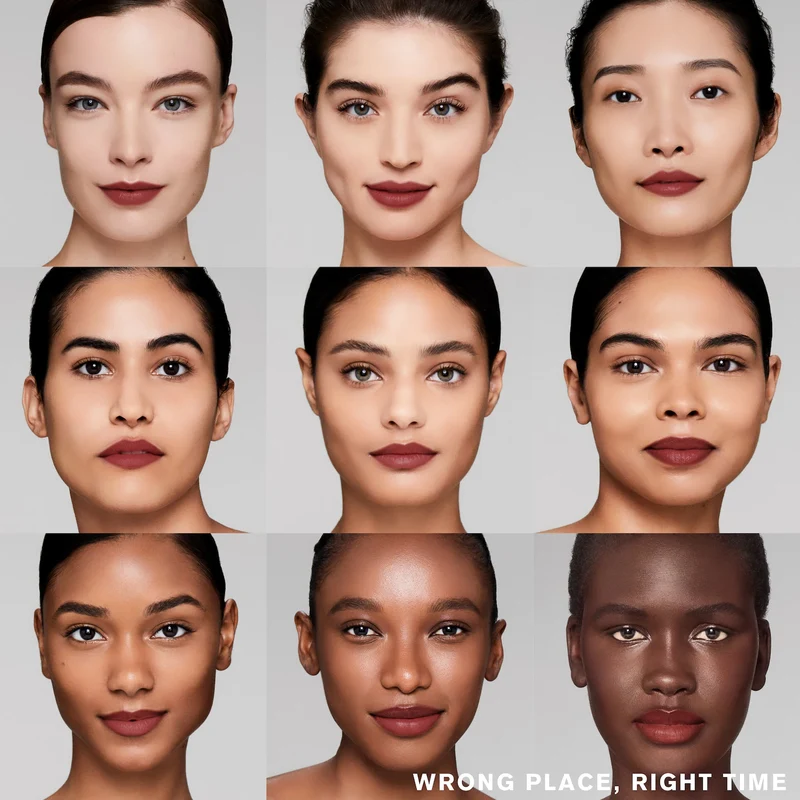 Estée Lauder Pure Color Explicit Rouge à lèvres Mat