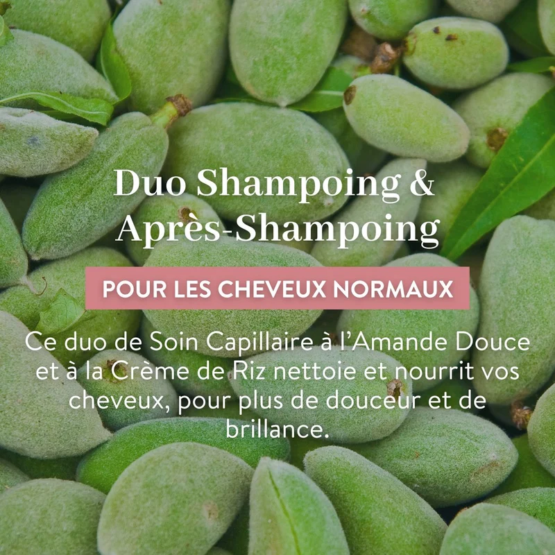 Duo Shampoing et Après-Shampoing - Cheveux Normaux