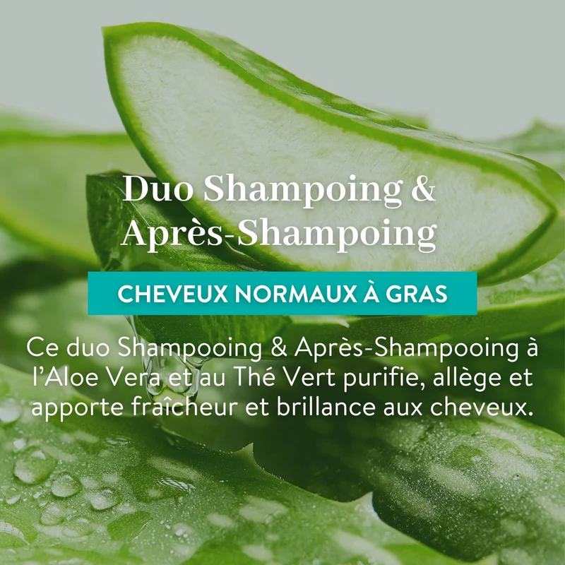 Duo Shampoing et Après-Shampoing - Cheveux Gras