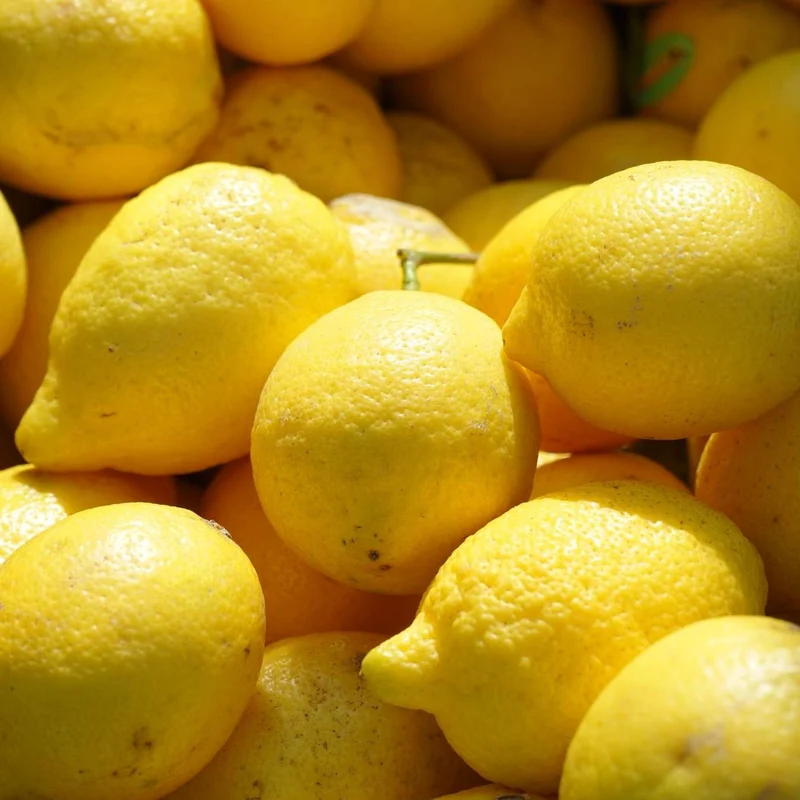 Pur Savon Liquide de Marseille - Parfum Verveine-Citron
