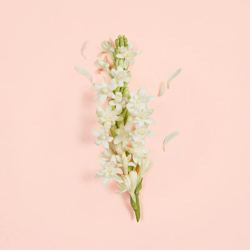Gucci Bloom Ambrosia d'Oro- Eau de Parfum