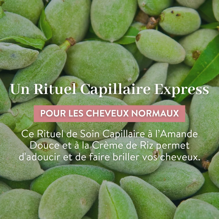 Rituel Express Cheveux Normaux