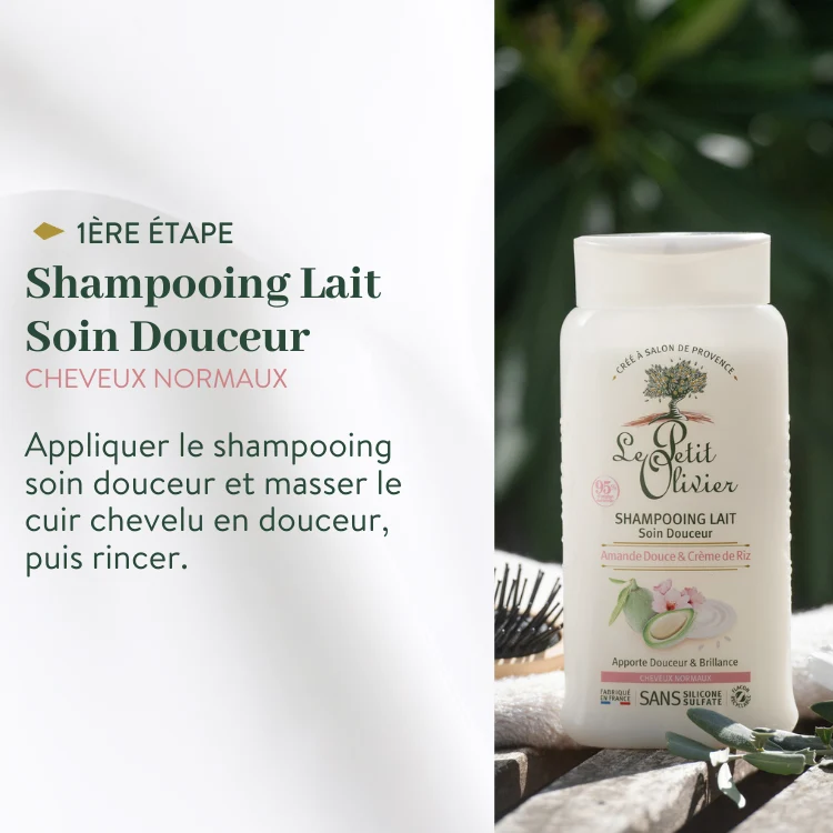 Rituel Express Cheveux Normaux