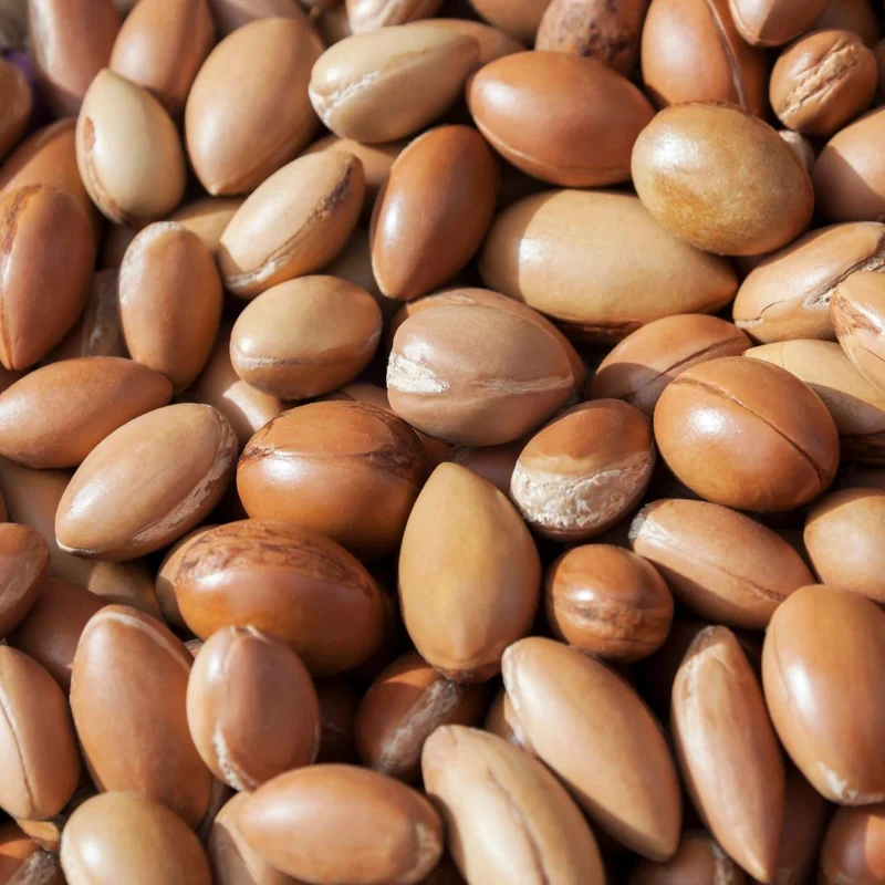 Crème Douche Lait d'Argan
