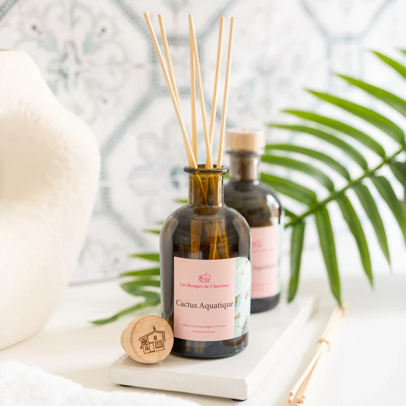 Diffuseur de parfum Cactus Aquatique