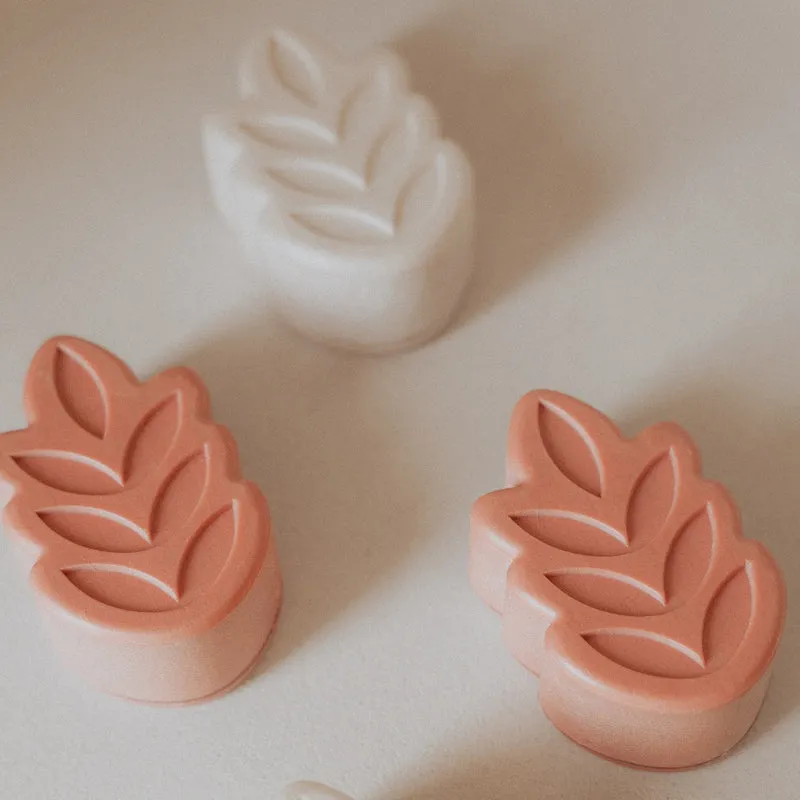 Exfoliant Corps Tonifiant