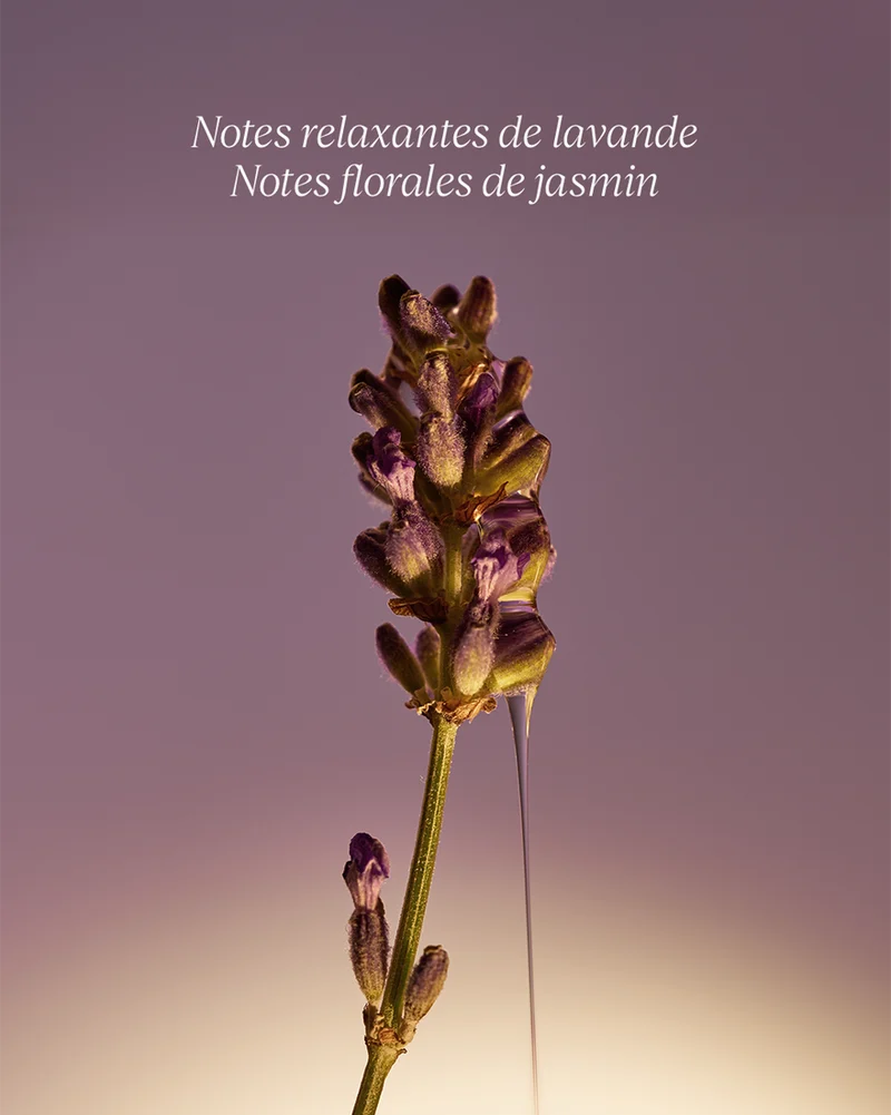 L'Occitane Savon Liquide Mains Lavande (flacon en verre)