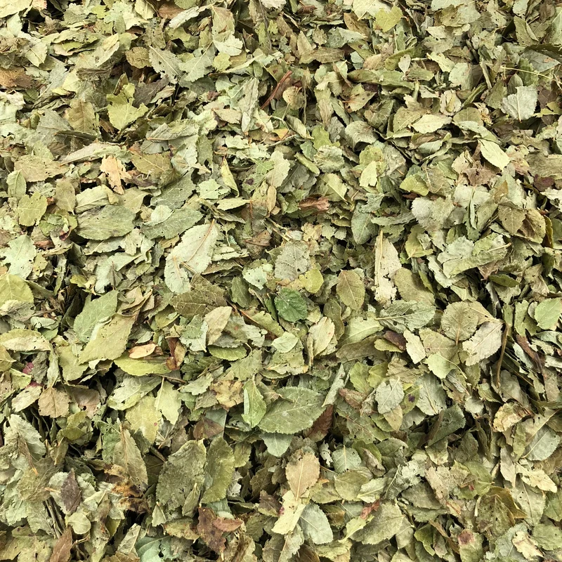 Myrtille Feuilles Bio en Vrac