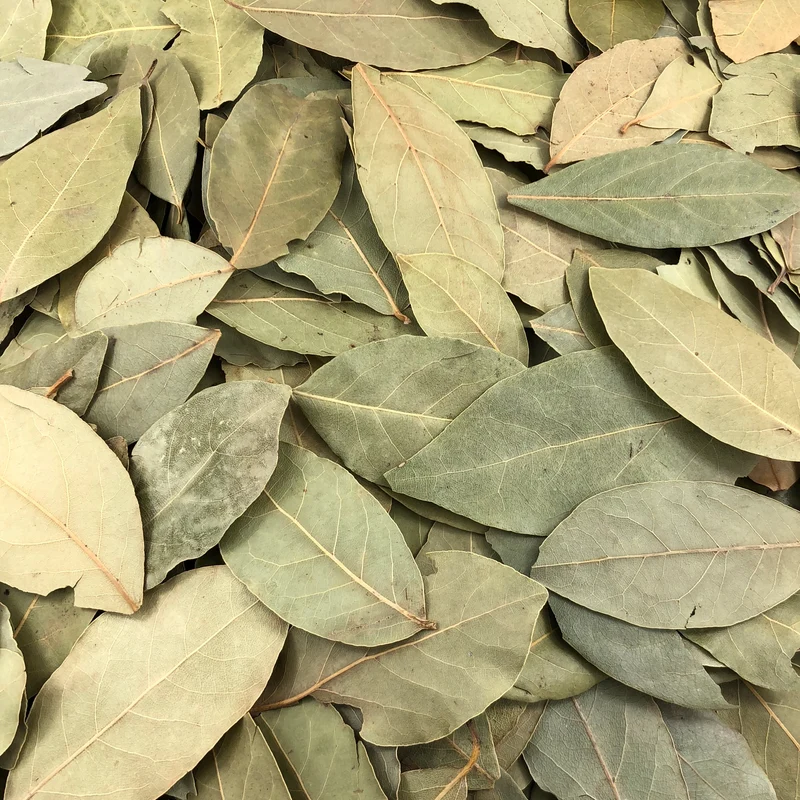 Laurier Feuilles Bio en Vrac