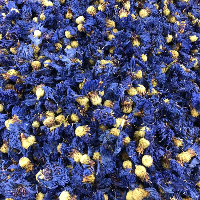 Bleuet Fleurs Bio en Vrac