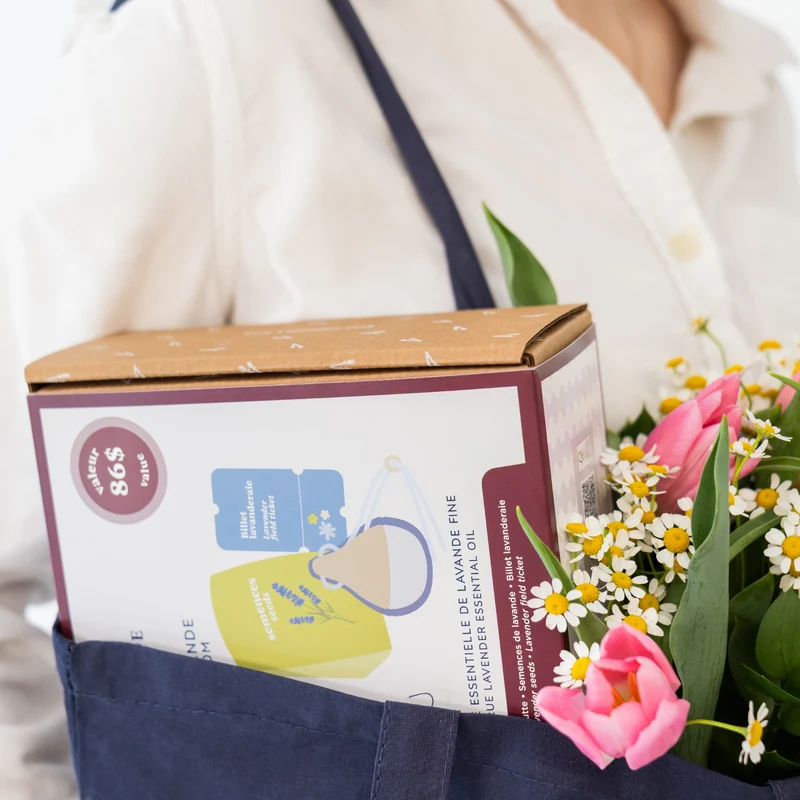 Coffret floraison lavande