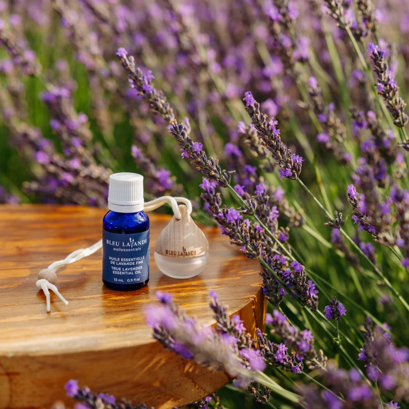 Diffuseur d'huiles essentielles Goutte
