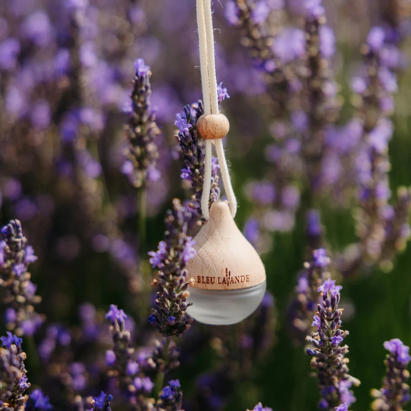 Diffuseur d'huiles essentielles Goutte