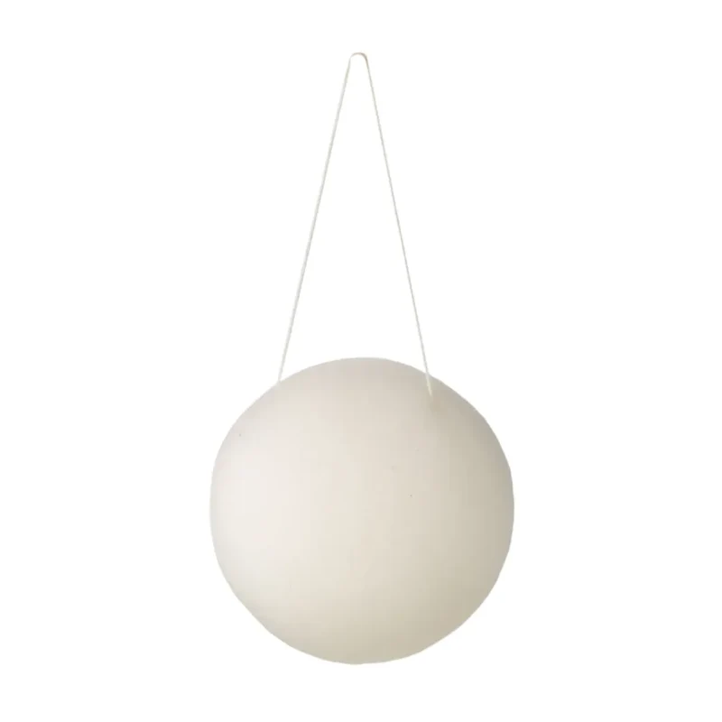 Éponge de Konjac