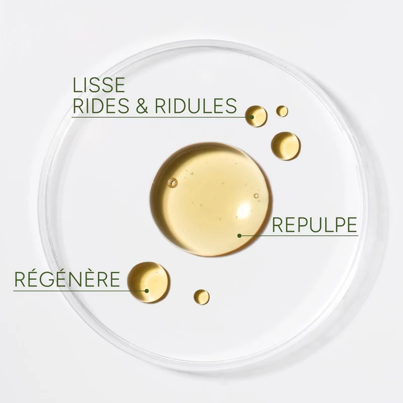 L'huile repulpante & régénérante