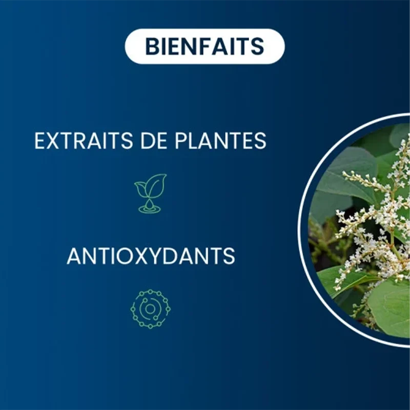 Trans-Resvératrol (Gélules)