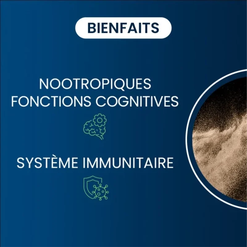 Vitamine B9 Quatrefolic® (Gélules)