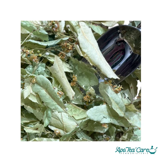 Tilleul Bio Petites Feuilles (Tilia Cordata) - Infusion Apaisante Premium SICA