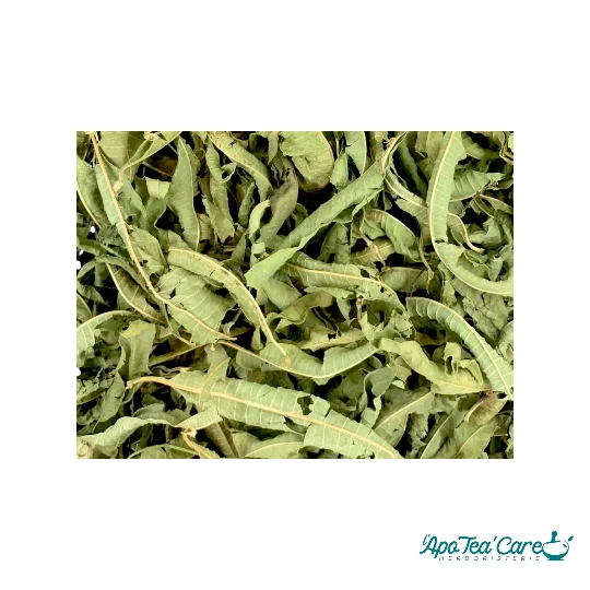 Verveine Odorante Feuille Entière - Détente & Digestion