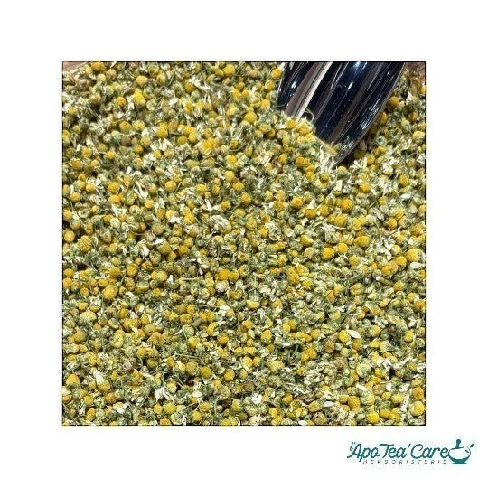 Camomille Matricaire Bio Capitule Floral Extra - Sommeil & Digestion
