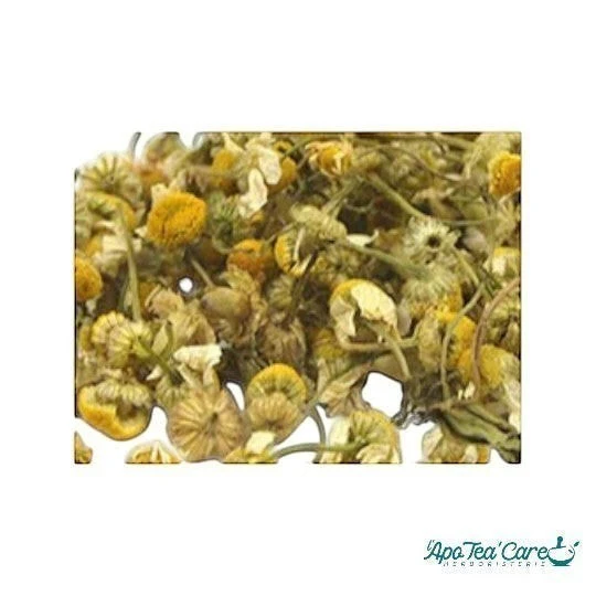 Camomille Matricaire Bio Capitule Floral Extra - Sommeil & Digestion