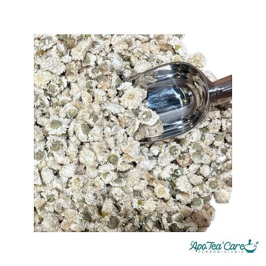 Camomille Romaine Fleur Triée bio - Digestion et Détente
