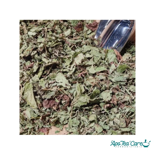 Mélisse Bio Feuille - Relaxation & Digestion Naturelle