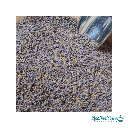 Lavande Tisane Bio Premium - Fleurs Qualité Supérieure | SICARAPPAM