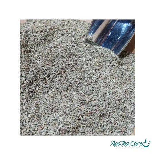 Thym Sauvage Bio Cueillette Premium - Digestion & Respiratoire