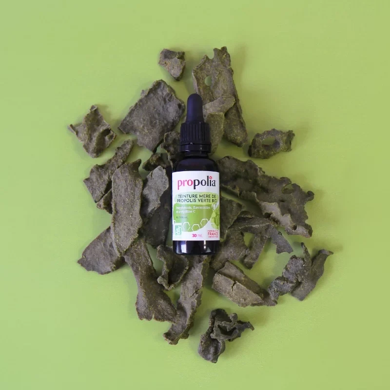 Teinture Mère de Propolis Verte BIO