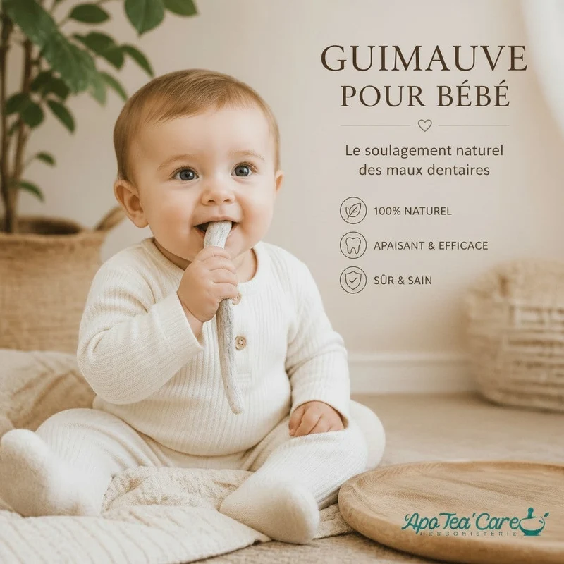 Bâton de Guimauve Racine Bio Premium France Cailleau Hochet Naturel pour Bébé