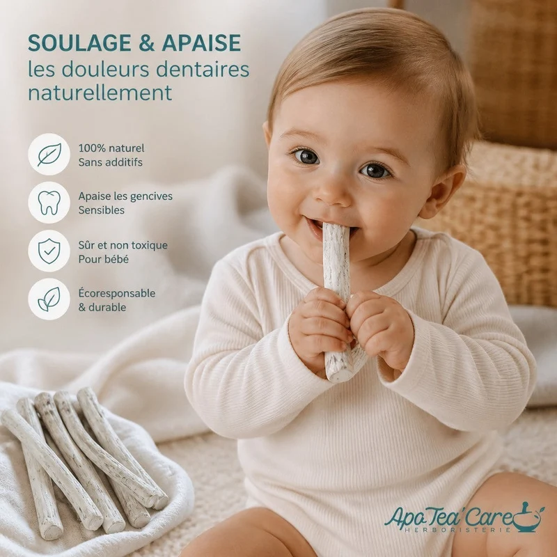 Bâton de Guimauve Racine Bio Premium France Cailleau Hochet Naturel pour Bébé