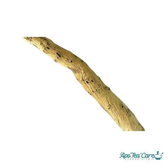 Bâton de Guimauve Racine Bio Premium France Cailleau Hochet Naturel pour Bébé