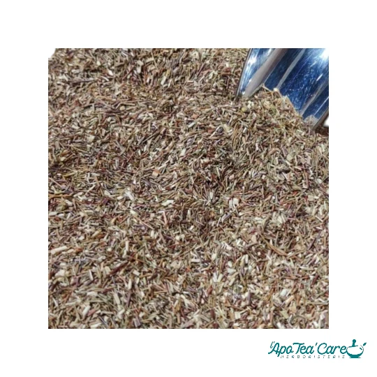 Rooibos Rouge Bio - Relaxation & Antioxydants Naturels