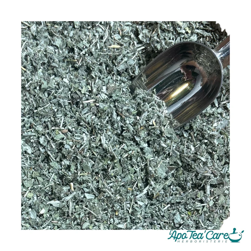 Sauge Officinale Bio France Feuille Mondée Premium - Digestion & Bien-être Féminin