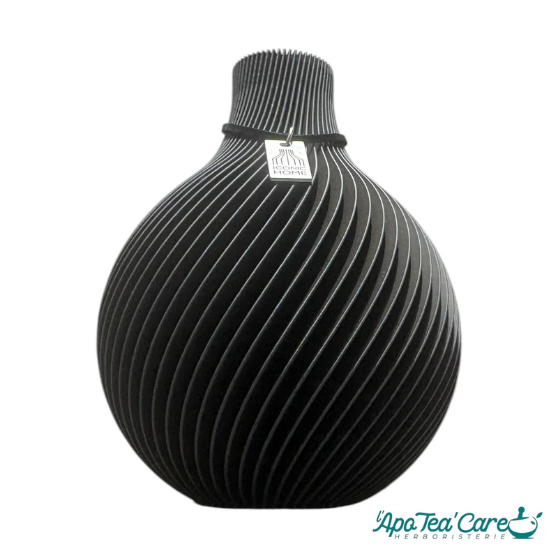 Vase de Senteur – Diffuseur de Parfum d'Intérieur | Iconic Home