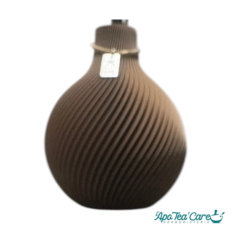 Vase de Senteur – Diffuseur de Parfum d'Intérieur | Iconic Home