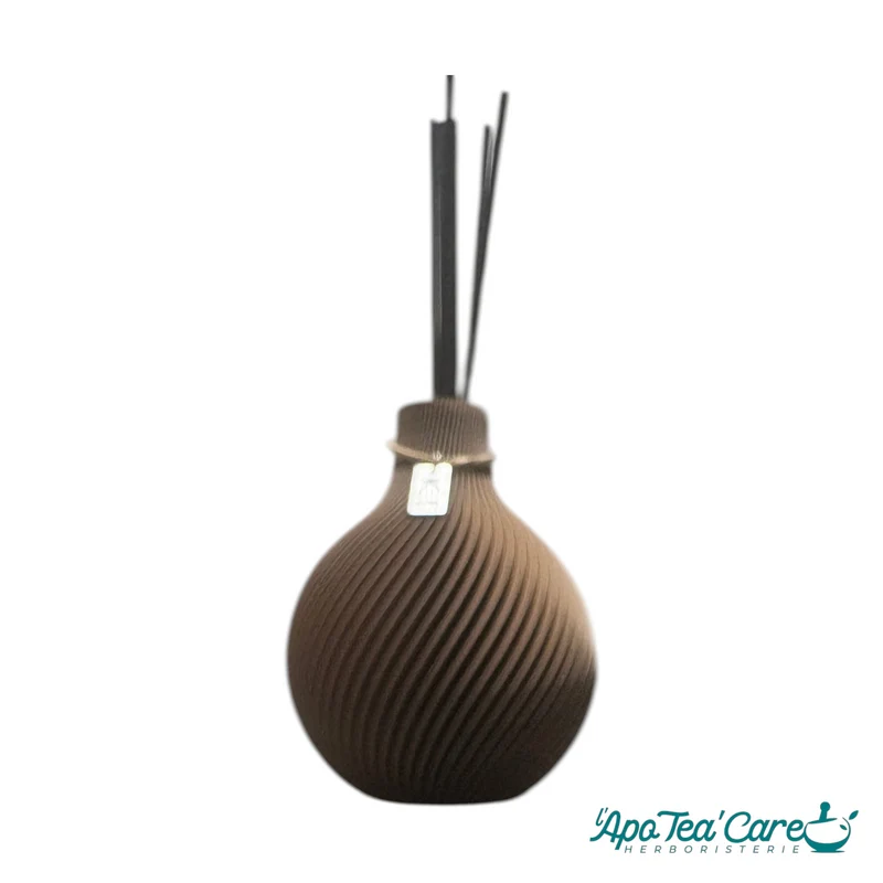 Vase de Senteur – Diffuseur de Parfum d'Intérieur | Iconic Home