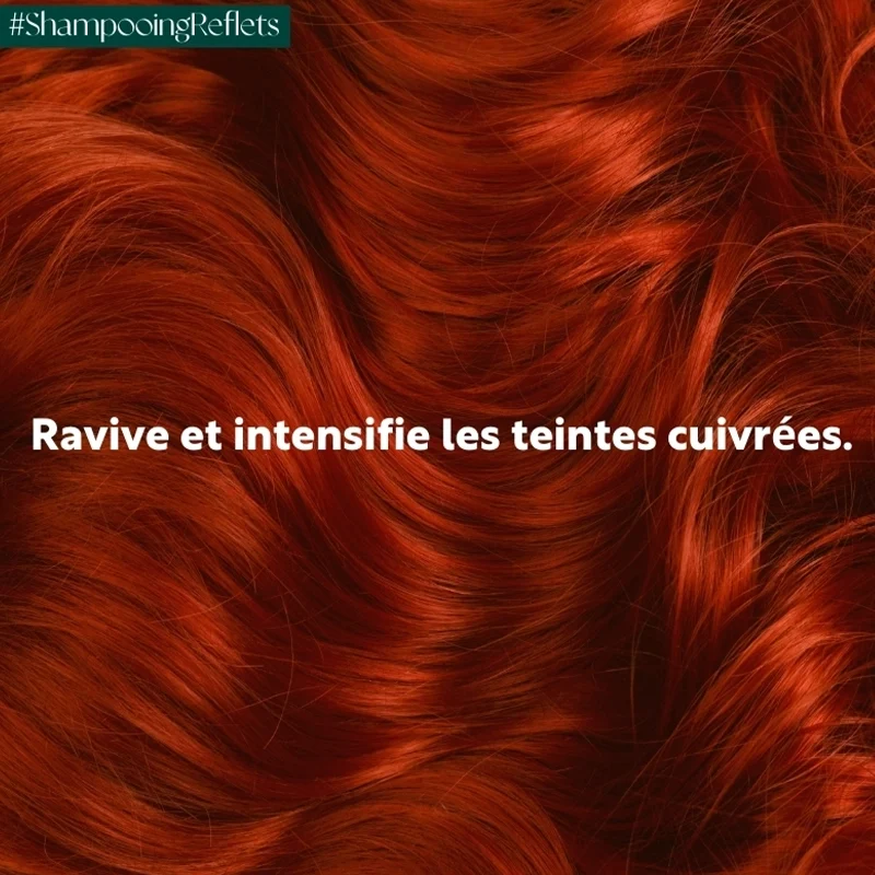 Shampooing reflets à l’huile de Camélia - cuivré ardent