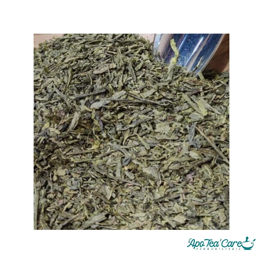 Thé Vert Sencha Bio Japon - Antioxydants & Fraîcheur