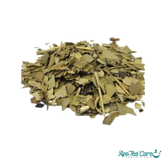 Maté Vert Torréfié Feuille Coupée - Énergie & Saveur Intense