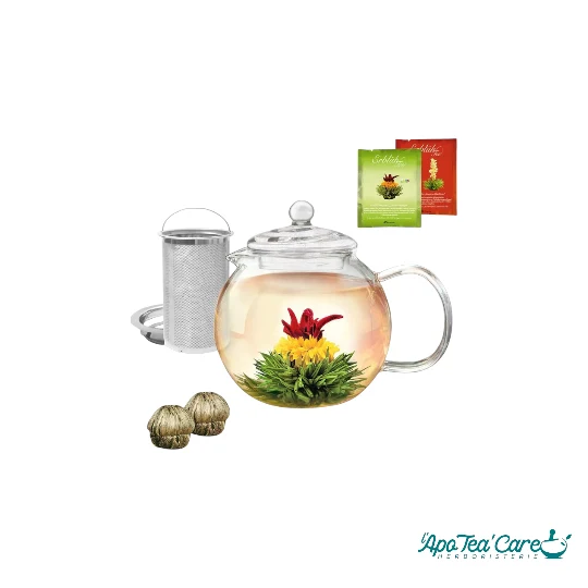 Créano Théière en verre (INCLUS : 2 thés blancs et thés verts)