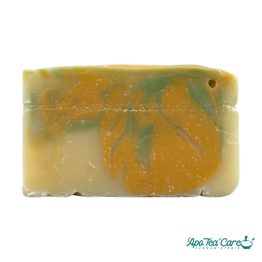 Savon Les Savons Fous Aloe Citronné