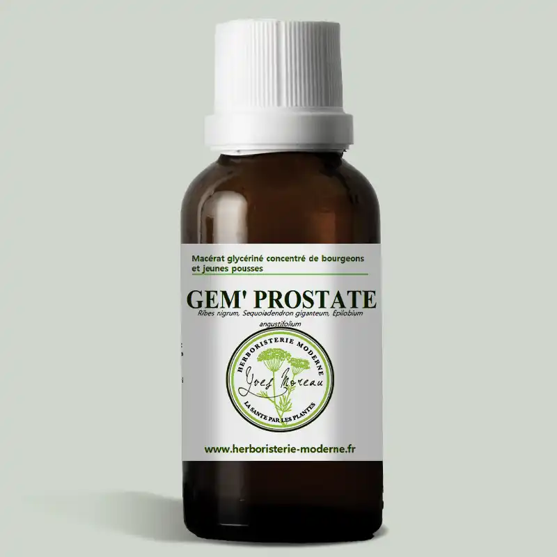 Macérât glycériné concentré de bourgeons Gem Prostate BIO