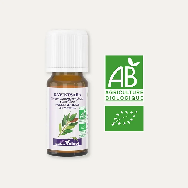 Huile essentielle Ravintsara BIO