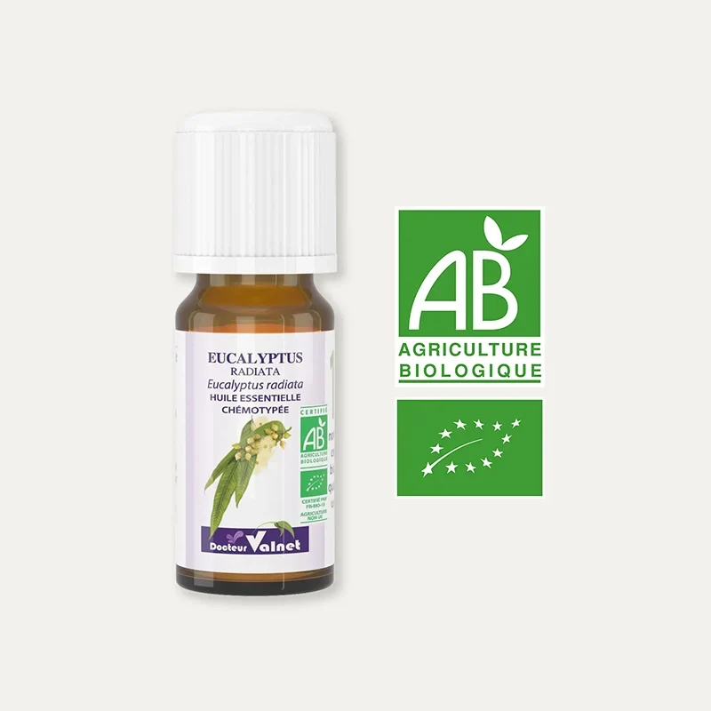 Huile essentielle Eucalyptus Radiata BIO