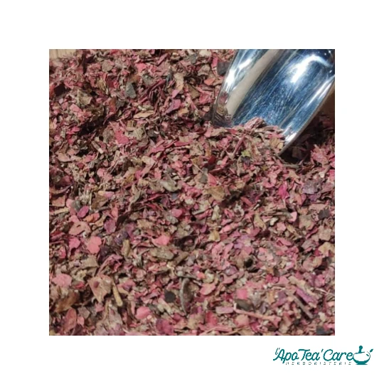 Vigne Rouge Bio Feuille Coupée - Circulation & Jambes Légères