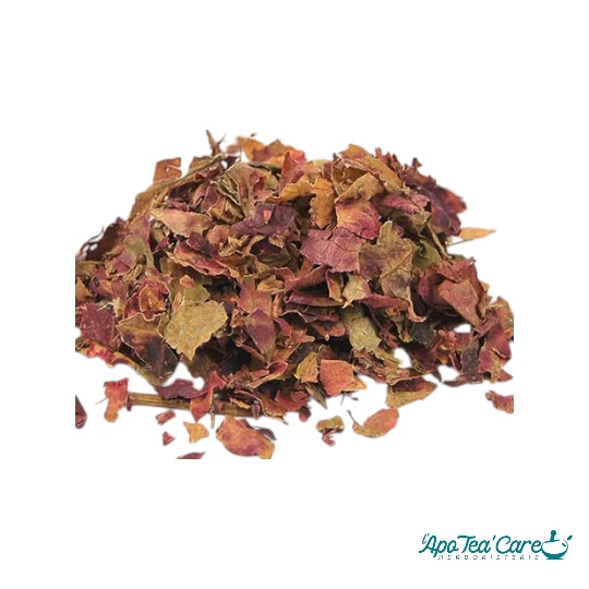Vigne Rouge Bio Feuille Coupée - Circulation & Jambes Légères