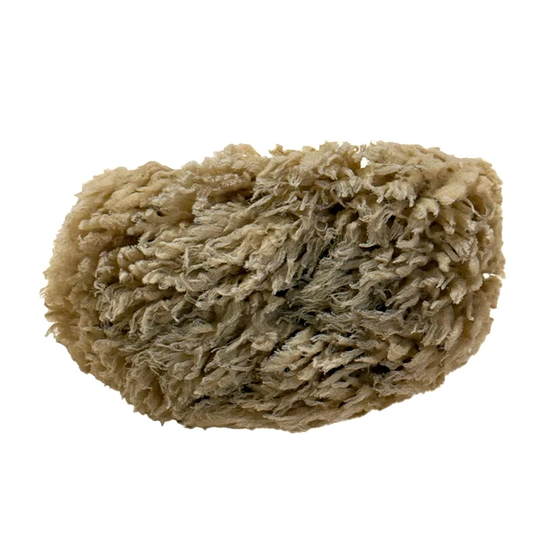 Éponge de mer naturelle