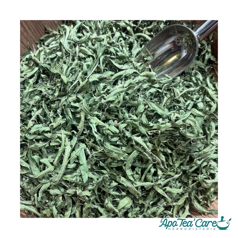Verveine Odorante Bio Feuille Entière - Détente & Digestion - Cailleau